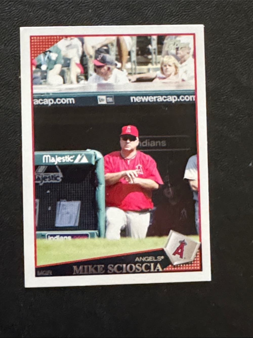 2009 Mike sciocia card